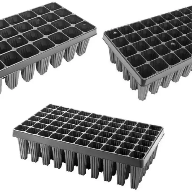 60 Cell Deep Root Trainers - Extra Large - Image 2