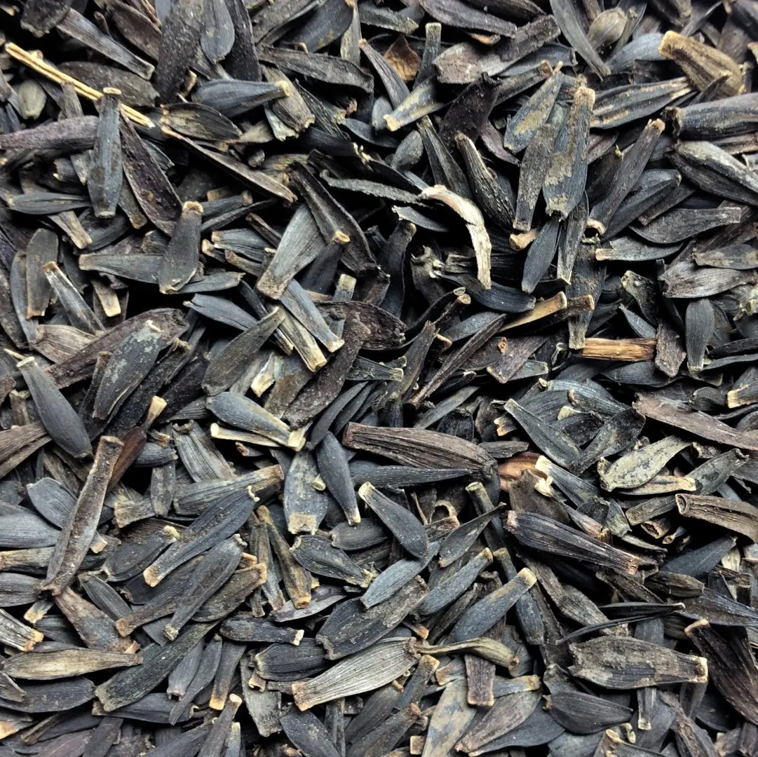 Dahlia Seeds